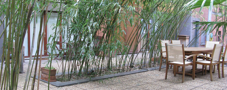 cour bambous